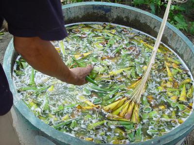 คำอธิบาย : นำข้าวต้มมัดที่ห่อเสร็จแล้วลงแช่น้ำ 1 คืนก่อนนำไปต้ม<br>ผู้ถ่าย : พัชรีวรรณ์ เบ้าดี<br>ลิขสิทธิ์  : ศูนย์มานุษยวิทยาสิรินธร (องค์การมหาชน)<br>รูปแบบลิขสิทธิ์ : สัญญาอนุญาตครีเอทีฟคอมมอนส์<br>