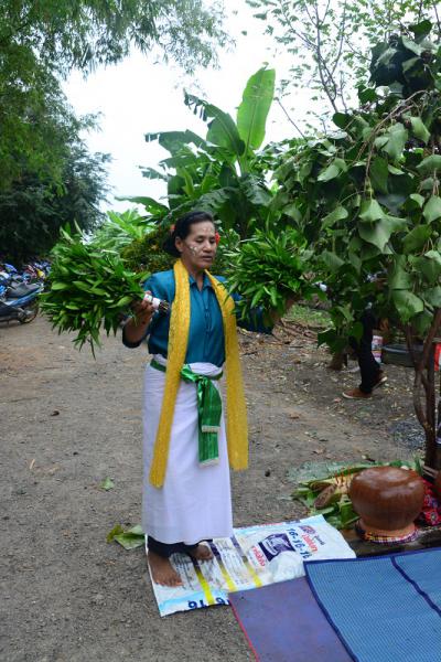 คำอธิบาย : โต้งหรือผู้นำพิธี ใช้ใบไม้หรือใบรำผีร่ายรำตามจังหวะการบรรเลงปี่พาทย์ บริเวณต้นโพตุ้มหน้าโรงพิธี<br>วันที่ถ่าย  :8 ม.ค. 2560<br>ผู้ถ่าย : พัชรีวรรณ์ เบ้าดี<br>ลิขสิทธิ์  : ศูนย์มานุษยวิทยาสิรินธร (องค์การมหาชน)<br>รูปแบบลิขสิทธิ์ : สัญญาอนุญาตครีเอทีฟคอมมอนส์<br>
