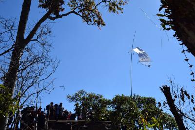 คำอธิบาย : ชายธงประดับใบโพธิ์<br>วันที่ถ่าย  :13 พ.ย. 2559<br>ผู้ถ่าย : ธีระวัฒน์  แสนคำ<br>ลิขสิทธิ์  : ศูนย์มานุษยวิทยาสิรินธร (องค์การมหาชน)<br>รูปแบบลิขสิทธิ์ : สัญญาอนุญาตครีเอทีฟคอมมอนส์<br>