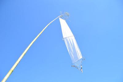 คำอธิบาย : ผืนธง ยอดเขาย่านไฮ ต.นครไทย อ.นครไทย จ.พิษณุโลก<br>วันที่ถ่าย  :14 พ.ย. 2559<br>ผู้ถ่าย : ธีระวัฒน์  แสนคำ<br>ลิขสิทธิ์  : ศูนย์มานุษยวิทยาสิรินธร (องค์การมหาชน)<br>รูปแบบลิขสิทธิ์ : สัญญาอนุญาตครีเอทีฟคอมมอนส์<br>